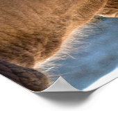 Baby Elephant Poster (Ecke)