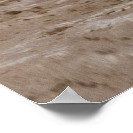 Baby Elephant Print Poster (Ecke)