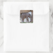 Baby Elephant Quadratischer Aufkleber (Tasche)