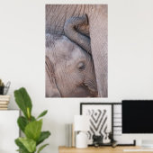 Baby Elephant Snuggles Poster (Heimbüro)