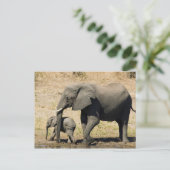 Baby Elephant und Mutter Postkarte (Stehend Vorderseite)