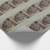 Baby Elephant Wrapping Paper Geschenkpapier (Ecke)