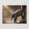 Baby Elephant's First Bath Postcard