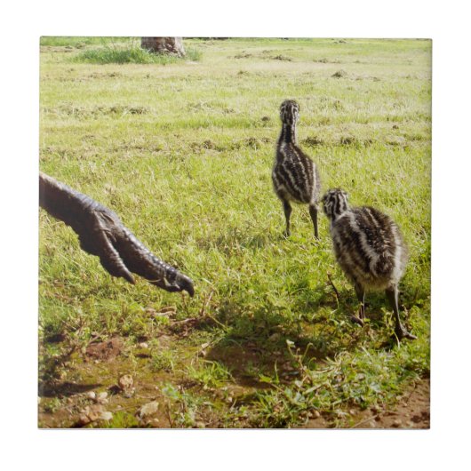 Baby Emu Chicks und Big Foot, Fliese (Vorderseite)