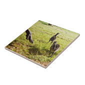 Baby Emu Chicks und Big Foot, Fliese (Seite)