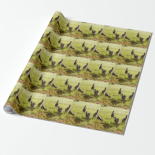 Baby Emu Chicks und Big Foot, Geschenkpapier (Ungerollt)