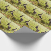 Baby Emu Chicks und Big Foot, Geschenkpapier (Ecke)
