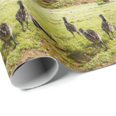 Baby Emu Chicks und Big Foot, Geschenkpapier (Rolleneckpunkt)