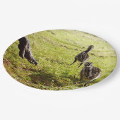 Baby Emu Chicks und Big Foot, Pappteller (Schrägansicht)