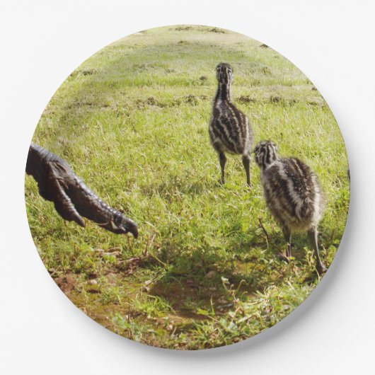 Baby Emu Chicks und Big Foot, Pappteller (Vorderseite)