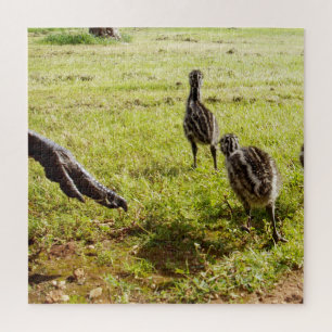 Baby Emu Chicks und Big Foot, Puzzle