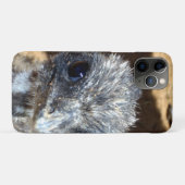 Baby Emu Face, Case-Mate iPhone Hülle (Rückseite (Horizontal))