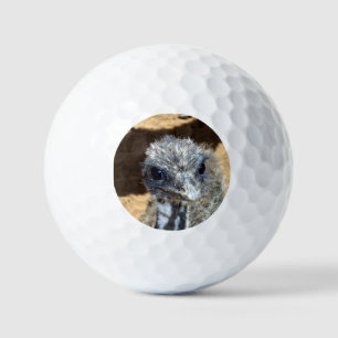 Baby Emu Face, Golfball