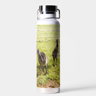 Baby Emu Küken Und Großer Fuß, Trinkflasche