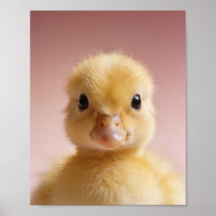 Baby Entchen Kinderzimmer Druck – Wandkunst Poster