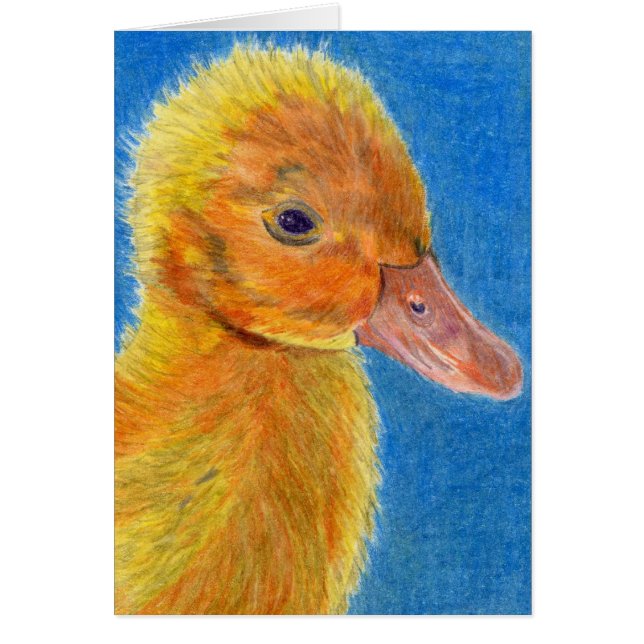 Baby-Ente (Vorne)