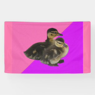 Baby-Enten auf rosa Himbeere und violettem Sorbet Banner