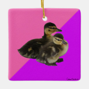 Baby-Enten auf rosa Himbeere und violetter Sorbet Keramikornament