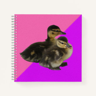 Baby-Enten auf rosa Himbeere und violetter Sorbet Notizblock