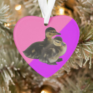 Baby-Enten auf rosa Himbeere und violetter Sorbet Ornament