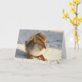 Baby-Enten-Entlein-Karte Karte (Gelbe Blume)