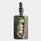 Baby-Enten Gepäckanhänger (Vorderseite vertikal)