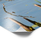 Baby Enten in Folge von Mutter Fotodruck (Ecke)