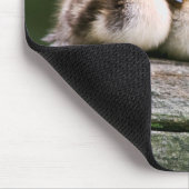 Baby-Enten Mousepad (Ecke)