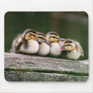 Baby-Enten Mousepad