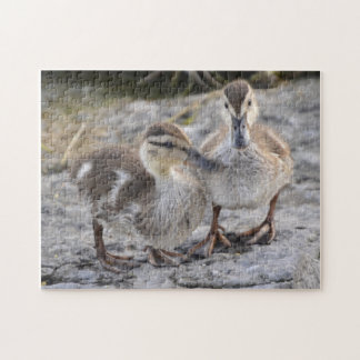 Baby-Enten Puzzle