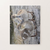 Baby-Enten Puzzle (Vertikal)