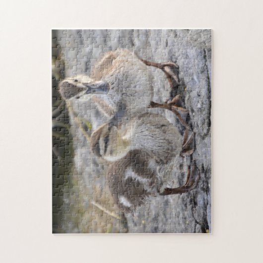 Baby-Enten Puzzle (Vertikal)