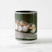Baby-Enten Tasse (Zentrum)