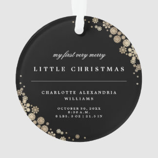 Baby-erste Weihnachtsschneeflocke-Foto-Verzierung Ornament