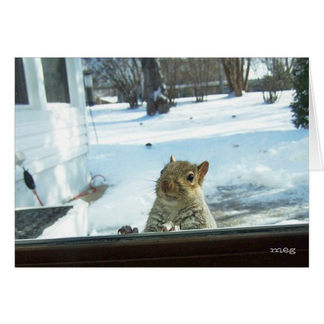 Baby Es ist kalt draußen (Vorderseite (Horizontal))