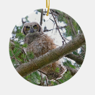 Baby-Eulen-Anstarren Keramik Ornament
