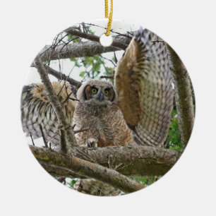 Baby-Eulen-Bild Keramik Ornament