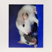 Baby Extravagant Pet Ratten Puzzle (Vertikal)