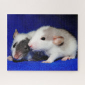 Baby Extravagant Pet Ratten Puzzle (Horizontal)