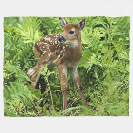 BABY FAWN FLEECEDECKE (Vorderseite (Horizontal))