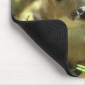 Baby Fawn Mousepad (Ecke)