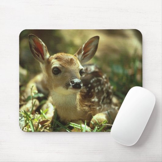 Baby Fawn Mousepad (Mit Mouse)