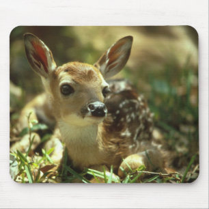 Baby Fawn Mousepad