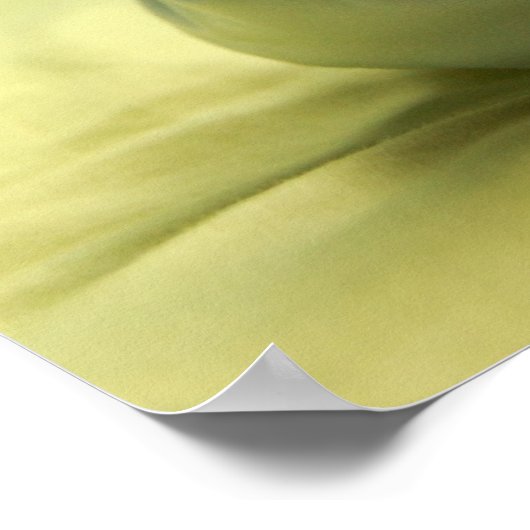 Baby Feet Dreams Poster (Ecke)