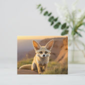 Baby Fennec Fuchs auf Klippe Postkarte (Stehend Vorderseite)