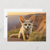 Baby Fennec Fuchs auf Klippe Postkarte (Vorne/Hinten)