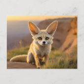 Baby Fennec Fuchs auf Klippe Postkarte (Vorderseite)