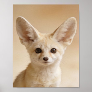 Baby-Fennec-Fuchs-Porträt – Süßes Kinderzimmer-Tie Poster