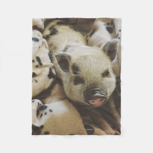 Baby-Ferkel in einer Decke (Vorderseite)