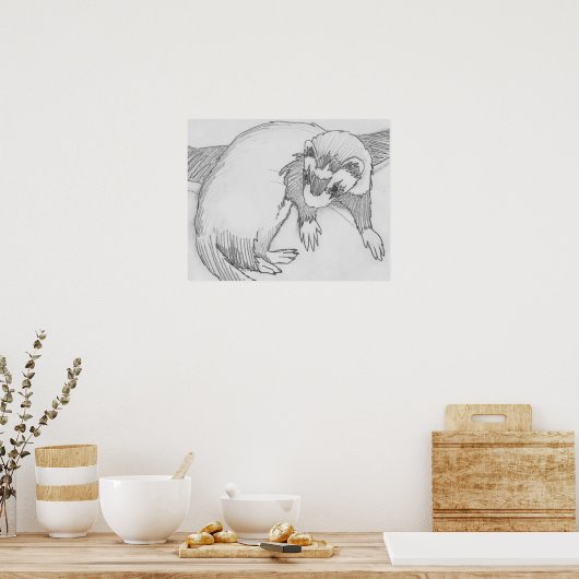 "Baby" Ferret Zeichnend Poster (Küche)